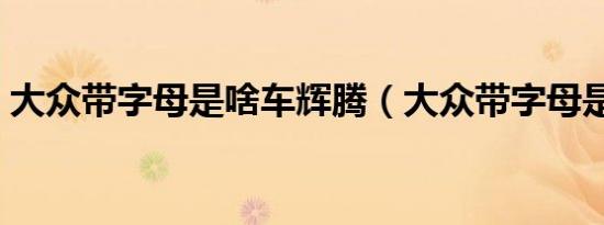 大众带字母是啥车辉腾（大众带字母是啥车）