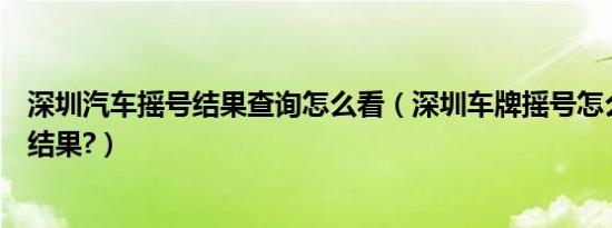 深圳汽车摇号结果查询怎么看（深圳车牌摇号怎么查看摇号结果?）