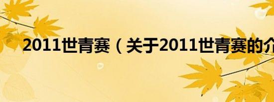 2011世青赛（关于2011世青赛的介绍）