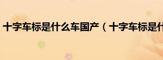 十字车标是什么车国产（十字车标是什么车）