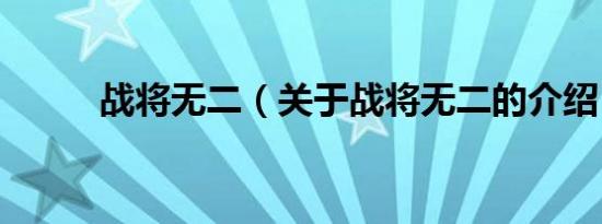 战将无二（关于战将无二的介绍）