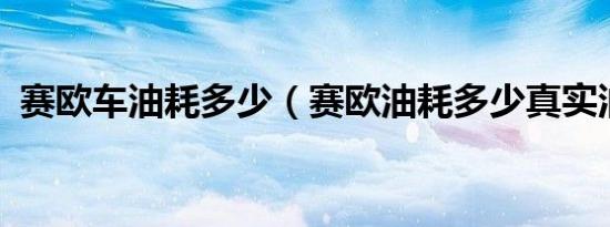 赛欧车油耗多少（赛欧油耗多少真实油耗?）