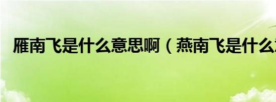 雁南飞是什么意思啊（燕南飞是什么意思）