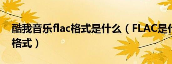酷我音乐flac格式是什么（FLAC是什么音乐格式）