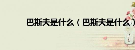 巴斯夫是什么（巴斯夫是什么）