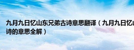 九月九日忆山东兄弟古诗意思翻译（九月九日忆山东兄弟古诗的意思全解）