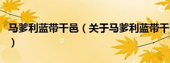 马爹利蓝带干邑（关于马爹利蓝带干邑的介绍）