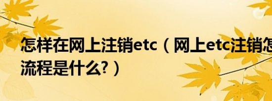 怎样在网上注销etc（网上etc注销怎么办理流程是什么?）