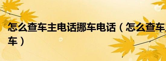 怎么查车主电话挪车电话（怎么查车主电话挪车）