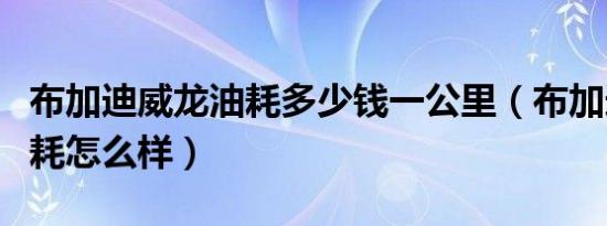 布加迪威龙油耗多少钱一公里（布加迪威龙油耗怎么样）