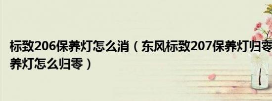 标致206保养灯怎么消（东风标致207保养灯归零标志207保养灯怎么归零）