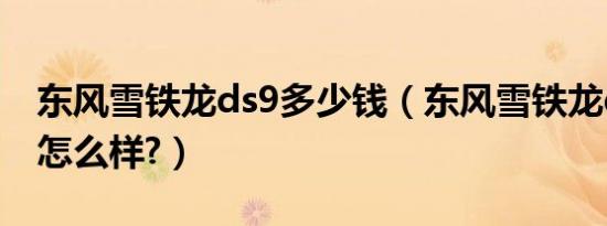 东风雪铁龙ds9多少钱（东风雪铁龙ds9参数怎么样?）