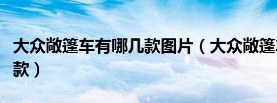 大众敞篷车有哪几款图片（大众敞篷车有哪几款）