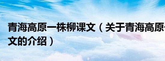 青海高原一株柳课文（关于青海高原一株柳课文的介绍）
