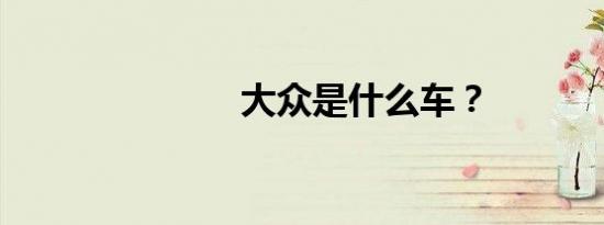 大众是什么车？