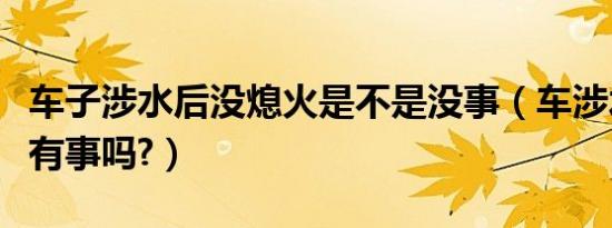 车子涉水后没熄火是不是没事（车涉水没熄火有事吗?）