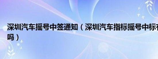 深圳汽车摇号中签通知（深圳汽车指标摇号中标有短信通知吗）