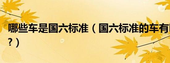 哪些车是国六标准（国六标准的车有哪些车型?）
