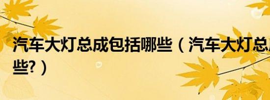 汽车大灯总成包括哪些（汽车大灯总成包括哪些?）