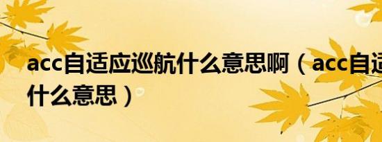 acc自适应巡航什么意思啊（acc自适应巡航什么意思）