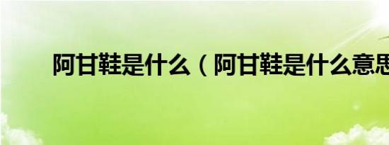 阿甘鞋是什么（阿甘鞋是什么意思）