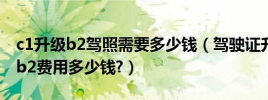 c1升级b2驾照需要多少钱（驾驶证升级c1升b2费用多少钱?）