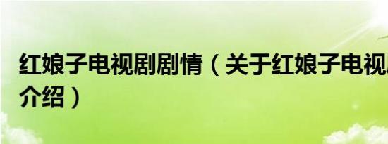 红娘子电视剧剧情（关于红娘子电视剧剧情的介绍）