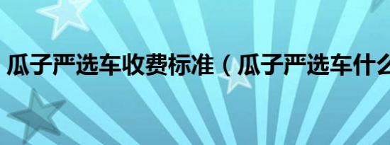 瓜子严选车收费标准（瓜子严选车什么意思）