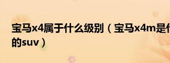 宝马x4属于什么级别（宝马x4m是什么级别的suv）