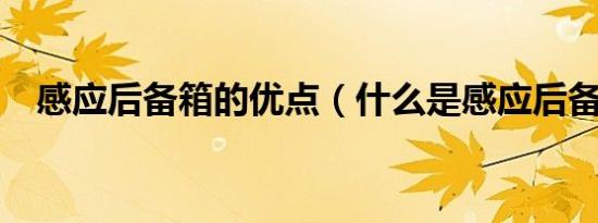 感应后备箱的优点（什么是感应后备箱?）
