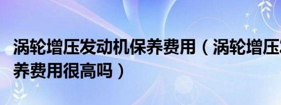 涡轮增压发动机保养费用（涡轮增压发动机保养费用很高吗）
