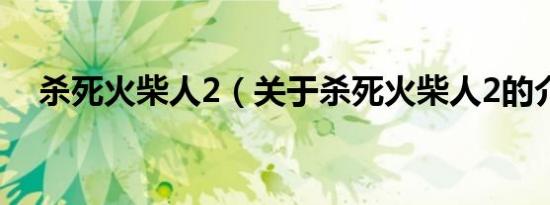 杀死火柴人2（关于杀死火柴人2的介绍）