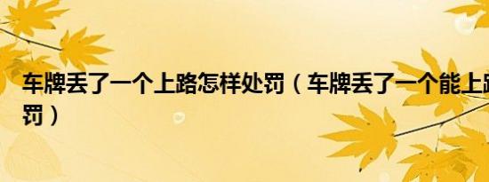 车牌丢了一个上路怎样处罚（车牌丢了一个能上路吗怎么处罚）
