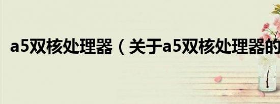 a5双核处理器（关于a5双核处理器的介绍）