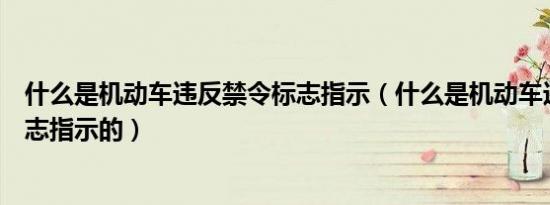 什么是机动车违反禁令标志指示（什么是机动车违反禁令标志指示的）