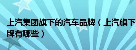 上汽集团旗下的汽车品牌（上汽旗下的汽车品牌有哪些）