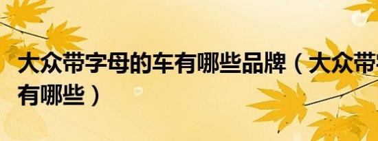 大众带字母的车有哪些品牌（大众带字母的车有哪些）