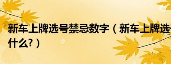 新车上牌选号禁忌数字（新车上牌选号禁忌是什么?）