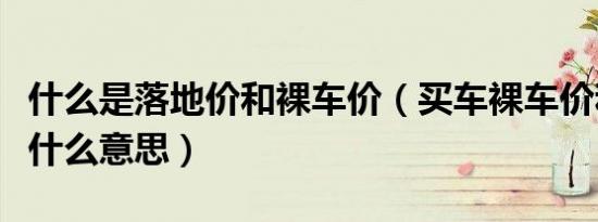 什么是落地价和裸车价（买车裸车价和落地价什么意思）