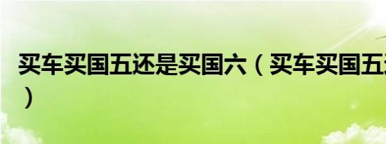 买车买国五还是买国六（买车买国五还是国六）
