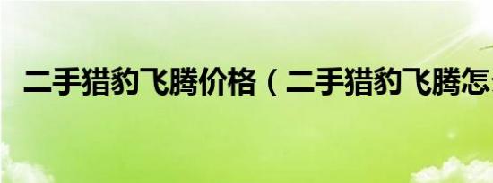 二手猎豹飞腾价格（二手猎豹飞腾怎么样）