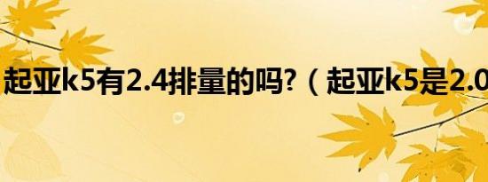 起亚k5有2.4排量的吗?（起亚k5是2.0t的吗）