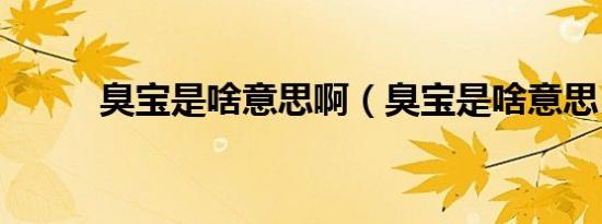 臭宝是啥意思啊（臭宝是啥意思）
