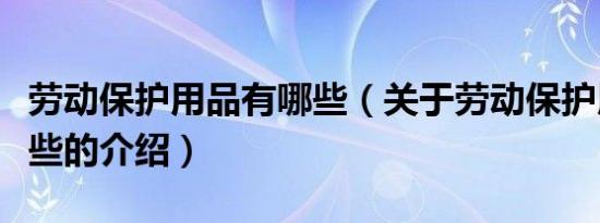 劳动保护用品有哪些（关于劳动保护用品有哪些的介绍）