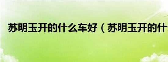 苏明玉开的什么车好（苏明玉开的什么车）