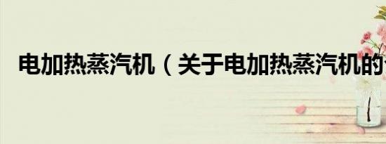 电加热蒸汽机（关于电加热蒸汽机的介绍）