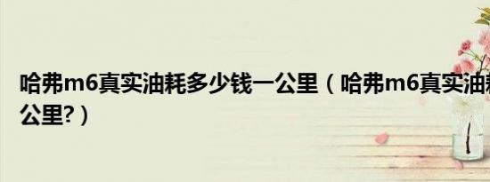哈弗m6真实油耗多少钱一公里（哈弗m6真实油耗多少钱一公里?）