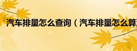 汽车排量怎么查询（汽车排量怎么算油耗）