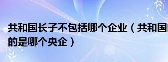 共和国长子不包括哪个企业（共和国的长子指的是哪个央企）