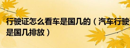 行驶证怎么看车是国几的（汽车行驶证怎么看是国几排放）